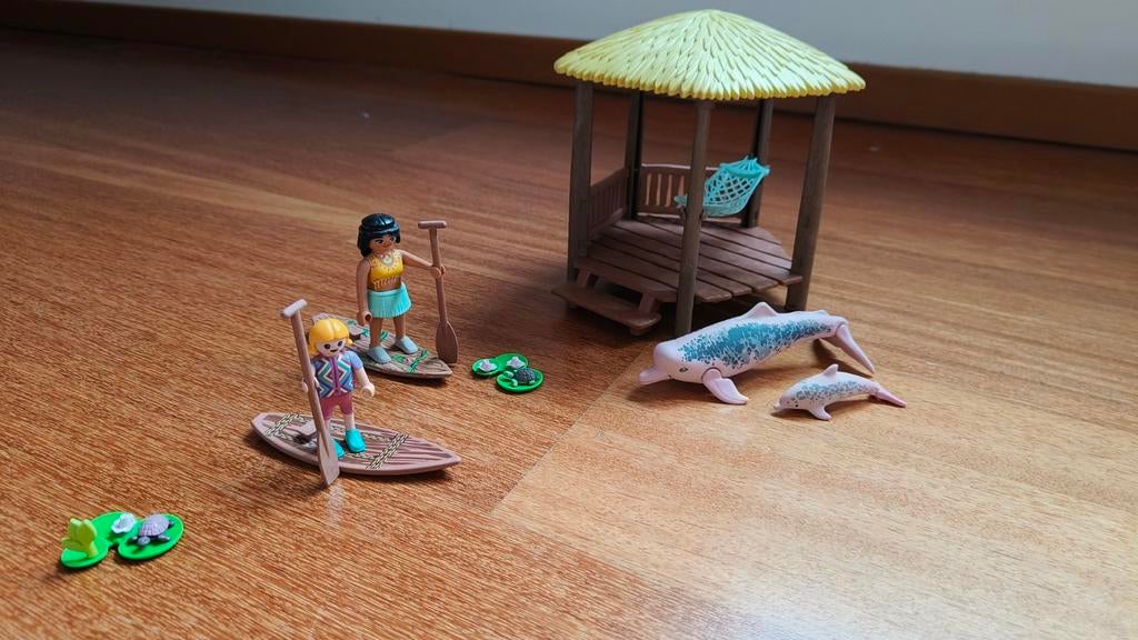 Excursion en pagayage avec les dauphins de la rivière Wiltop, Enlèvement ou Envoi