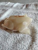 Kikker, Verzamelen, Ophalen of Verzenden