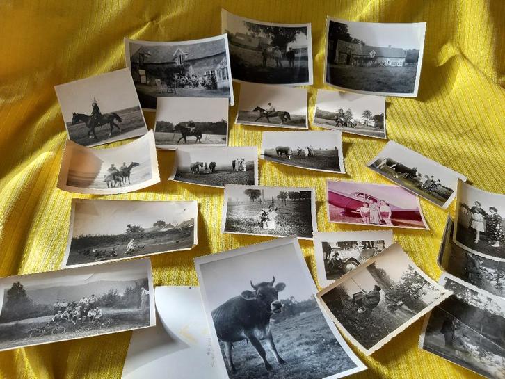 Anciennes photos Rurales, Verzamelen, Foto's en Prenten, Zo goed als nieuw, Foto, Overige onderwerpen, 1940 tot 1960, Ophalen of Verzenden