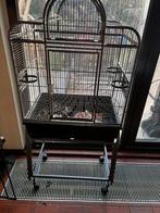 Luxe vogelkooi op standaard – stijlvol en ruim, Ophalen, Zo goed als nieuw, Vogelkooi