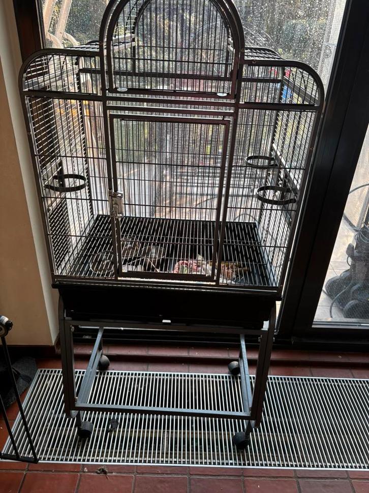 Luxe vogelkooi op standaard – stijlvol en ruim, Animaux & Accessoires, Oiseaux | Cages & Volières, Comme neuf, Cage à oiseaux
