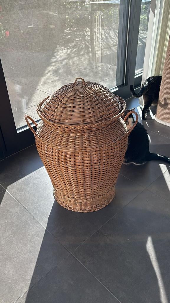 Grote mand, Ophalen, Mand