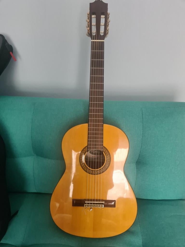 Gitaar  akoestisch  merk stagg, Muziek en Instrumenten, Ophalen