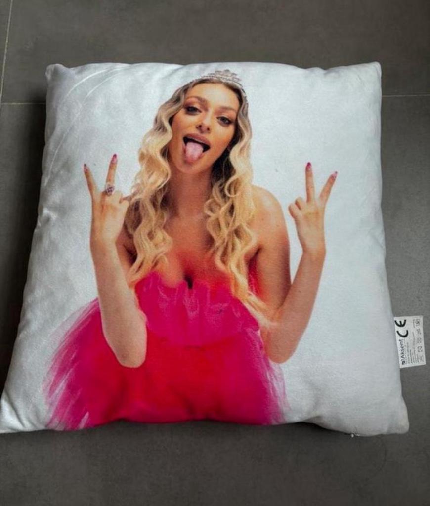 Camille kussen, Maison & Meubles, Accessoires pour la Maison | Coussins, Enlèvement, Comme neuf