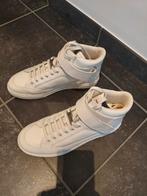 Saint Laurent sneakers, Enlèvement, Baskets