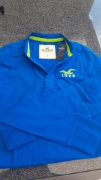 Hollister herenpolo. Nieuw. Nog nooit gedragen, Blauw, Nieuw, Ophalen of Verzenden, Hollister