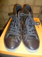 bruine enkel laarzen, maat 37. sleehak, merk: Blue Haven., Enlèvement ou Envoi, Comme neuf