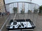 Vogelkooi volière, Dieren en Toebehoren, Vogels | Hokken en Kooien, Ophalen, Zo goed als nieuw