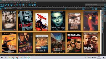 Collectie films op dvd beschikbaar voor biedingen