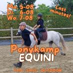 Ponykamp EQUINI Grembergen - Rijlessen, Dieren en Toebehoren, Pony's, B, Gechipt, Recreatiepony, Meerdere dieren