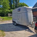 Xl 2 paards trailer, Ophalen, Zo goed als nieuw, Polyester