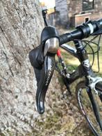 Ridley orion, Enlèvement, Carbone