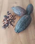 Echte lege en droge cacaobonen voor decoratie of, Huis en Inrichting, Woonaccessoires | Droogbloemen, Ophalen of Verzenden