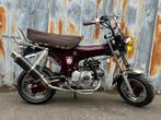 Topdeal - Zhenhua Dax Project Bordeaux, Fietsen en Brommers, Brommers | Honda, Nieuw, 4 versnellingen, Ophalen of Verzenden, 49 cc