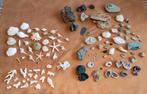 Verzameling stenen, fossielen, koraal en mineralen, Verzamelen, Ophalen of Verzenden