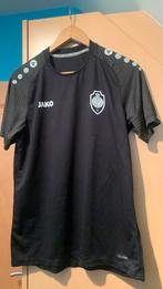 RAFC Jako Shirt Maat L, Sport en Fitness, Voetbal, Maat L, Ophalen of Verzenden, Zo goed als nieuw, Shirt
