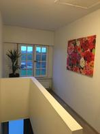 Schilderij, Ophalen, 50 tot 75 cm, Zo goed als nieuw, Schilderij