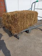 Kleine pakjes hooi te koop, Dieren en Toebehoren, Schapen, Geiten en Varkens