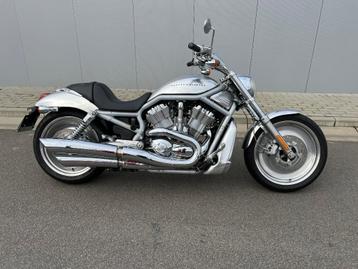 V-Rod - Amuminium -  12.000.km !!