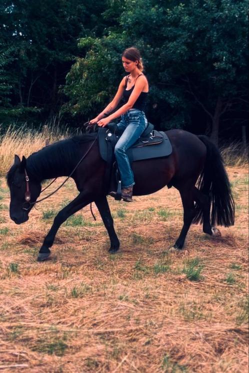 Zadelmak maken/doorijden, Dieren en Toebehoren, Pony's, Zadelmak