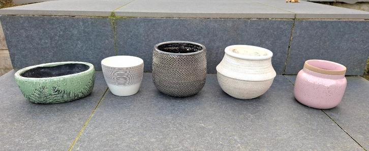 Plusieurs petits pots pour plante intérieur, Maison & Meubles, Plantes d'intérieur, Cactus, Moins de 100 cm, Enlèvement
