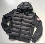CANADA GOOSE HYBRIDGE JACKET MET CAPUCHON AAA+ KWALITEIT, Kleding | Heren, Jassen | Winter, Maat 48/50 (M), Zwart, Nieuw, Canada goose