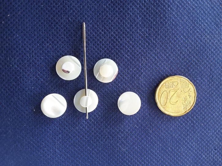 echt parelmoer knoop 12,5 mm met platte schacht B12510Q, Hobby en Vrije tijd, Naaien en Fournituren, Nieuw, Knoop of Knopen, Ophalen of Verzenden