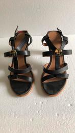 Sandales Tommy Hilfiger taille 37, Vêtements | Femmes, Chaussures, Enlèvement ou Envoi, Porté, Tommy Hilfiger, Noir