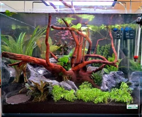 Volledige (lege) Dennerle aquarium setup 40(L)x32(B)x28(H), Dieren en Toebehoren, Vissen | Aquaria en Toebehoren, Zo goed als nieuw