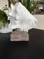 Decoratie schelpen, Ophalen, Zo goed als nieuw