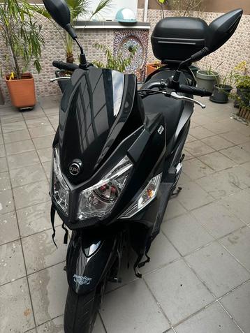 sym jet 14 50cc, Neuf, Autres modèles, 49 cm³, Classe B (45 km/h)