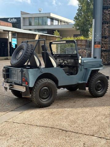 Willys jeep beschikbaar voor biedingen