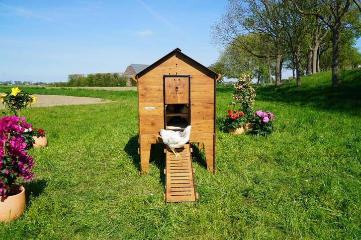 Trespa Kippenhok Cucciolotta Classic 2XL | Op Pootjes, Animaux & Accessoires, Volatiles | Accessoires, Neuf, Poulailler, Enlèvement ou Envoi