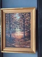 Peinture sur toile paysage de sous-bois de G. SOMMERS, Antiquités & Art, Enlèvement ou Envoi