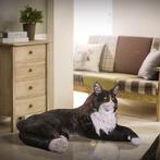 Maine Coon Cat beeld – Kat - 101 cm, Nieuw, Ophalen of Verzenden