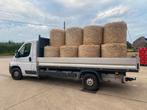 Midibalen tarwestro, Dieren en Toebehoren, Stalling en Weidegang