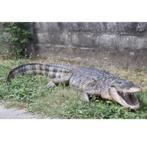 Statue d'alligator américain — crocodile, longueur 241 cm
