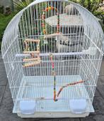 Cage calopsites ou canari ou autres, Ophalen, Gebruikt, Metaal, Vogelkooi