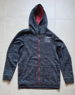 Hoodie gevoerd met fleece 170/176, Enfants & Bébés, Vêtements enfant | Taille 170, Enlèvement ou Envoi, Utilisé, Garçon, Pull ou Veste