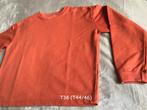 Terracotta pull/sweatshirt T44/46 in goede staat, Kleding | Dames, Ophalen of Verzenden, Gedragen, Maat 42/44 (L)
