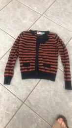 Vestje maat 116, Kinderen en Baby's, Kinderkleding | Maat 122, Ophalen of Verzenden, Zo goed als nieuw