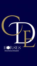 Privé stalling volpension/trainingpension, Pâturage, 4 chevaux ou poneys ou plus