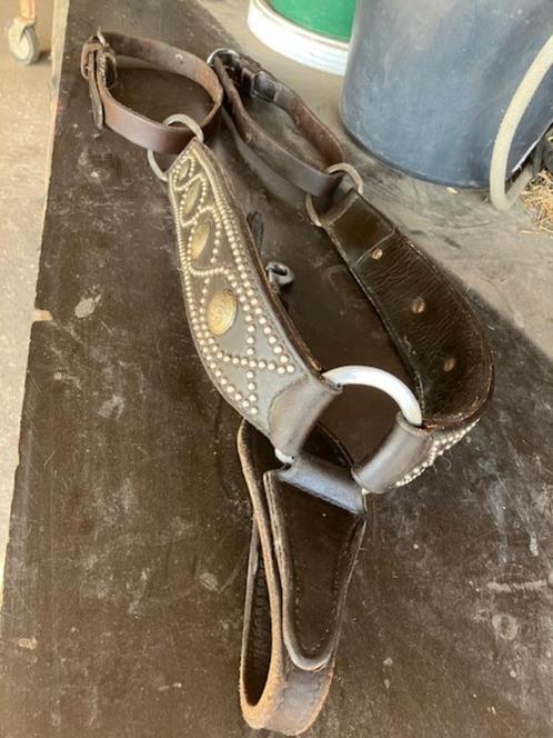 Kopstuk western + teugels bit borststuk, Dieren en Toebehoren, Paarden en Pony's | Hoofdstellen en Tuigage, Gebruikt, Western