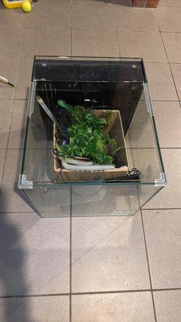 Aquarium 50 x 40 cm + accessoires beschikbaar voor biedingen