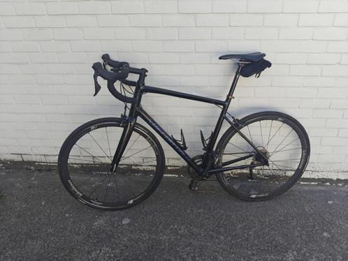 Racefiets Specialized Allez Elite te koop, Fietsen en Brommers, Fietsen | Heren | Herenfietsen, Gebruikt, Overige merken, 57 tot 61 cm