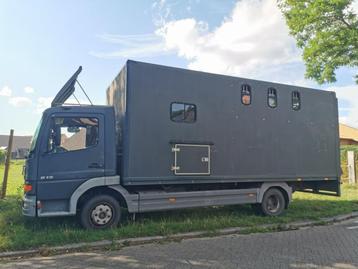 Mercedes Atego paardenvrachtwagen 4 paarden beschikbaar voor biedingen