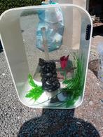Aquarium biorb, Dieren en Toebehoren, Ophalen of Verzenden, Zo goed als nieuw