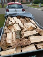 Droog gekloven brandhout, Moins de 3 m³, Enlèvement ou Envoi, Autres essences de bois, Bûches