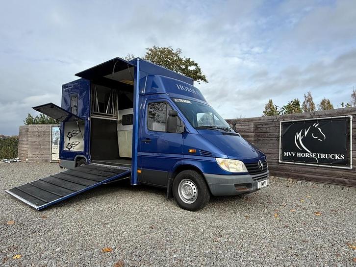 Mercedes-Benz Sprinter PAARDENWAGEN Nuyts 2XL | AUTOMAAT, Dieren en Toebehoren, Paarden en Pony's | Trailers en Aanhangwagens