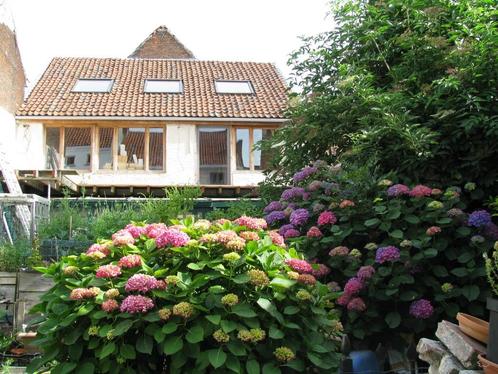 2 maisons écologiques sur 1 jardin urbain orienté au sud, Immo, Maisons à vendre, Province de Flandre-Orientale, 200 à 500 m²